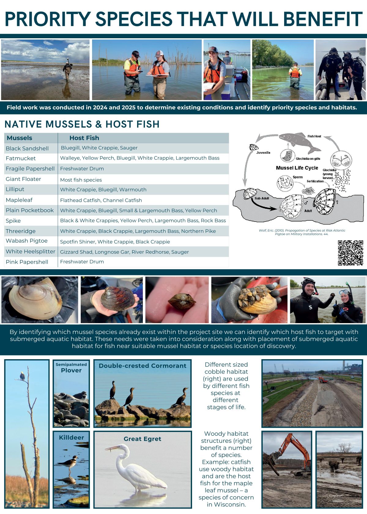 Priority Species Poster